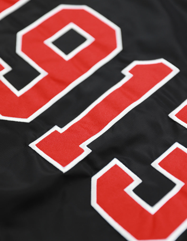 Delta Sigma Theta Bomber Jacket II