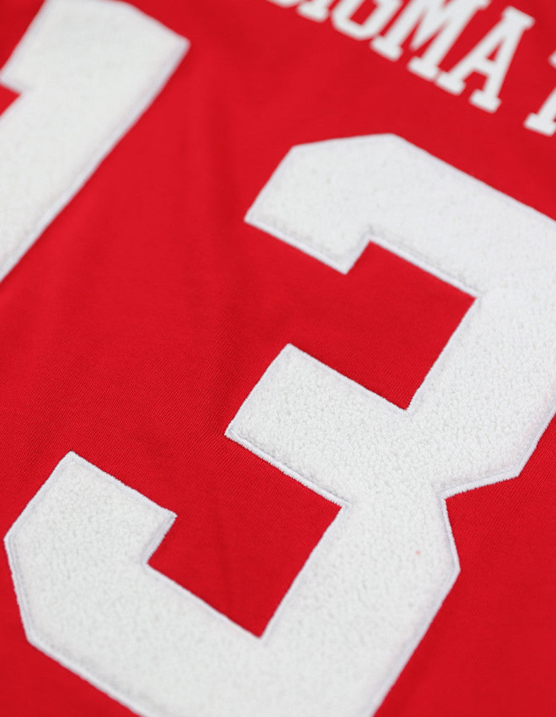 Delta Sigma Theta Oversized Jersey Tee