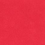 Delta Sigma Theta Casual Torch Blazer