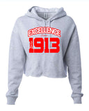 Excellence Cropped Hooded Sweatshirt - Delta Sigma Theta