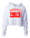 Excellence Cropped Hooded Sweatshirt - Delta Sigma Theta