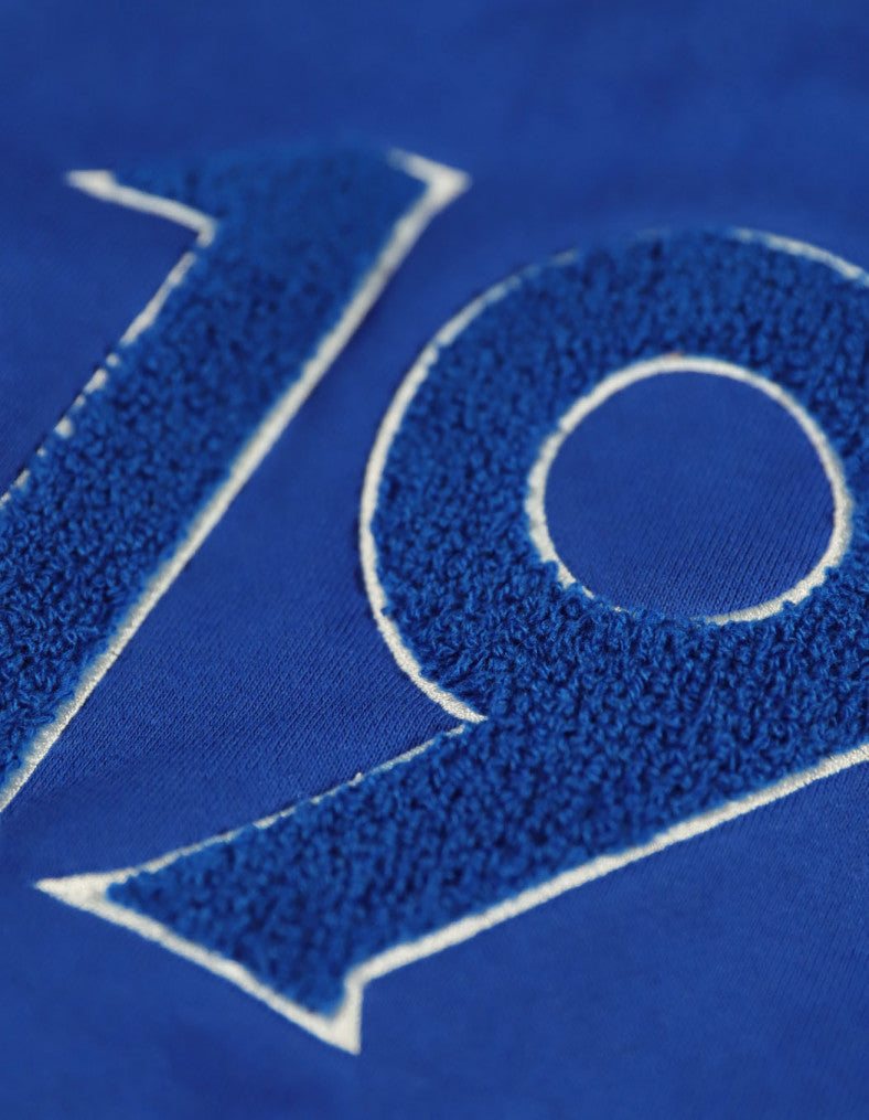 Phi Beta Sigma Chenille Shield Hoodie