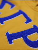 SG RHO Chenille Shield Hoodie - Sigma Gamma Rho