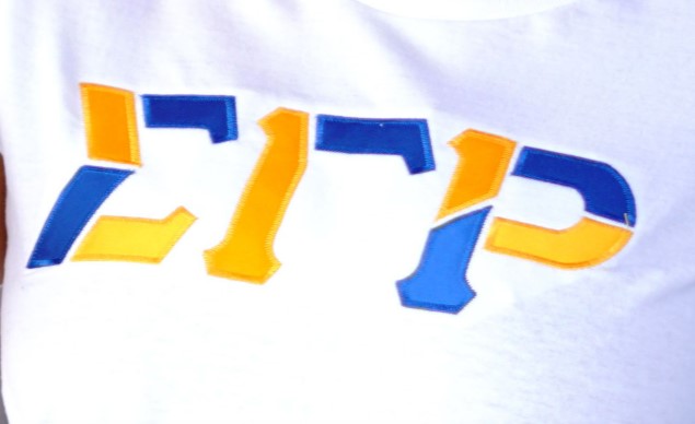 Sigma Gamma Rho Color Block Greek Lettered Hoodie