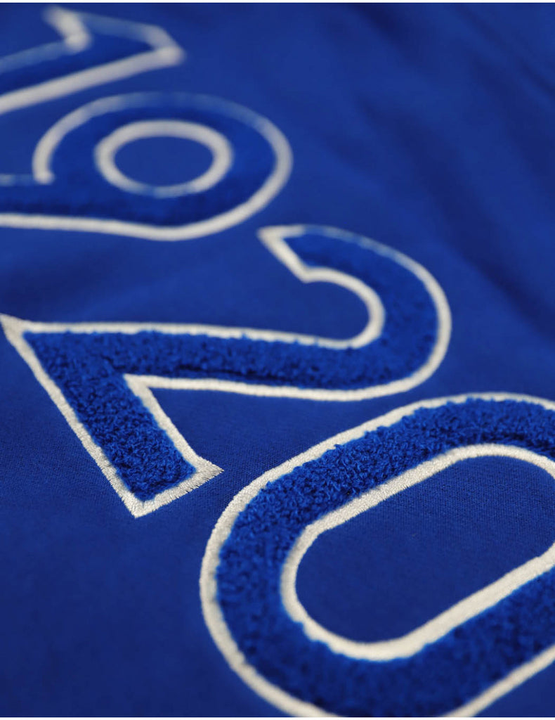 Zeta Chenille Shield Hoodie - Zeta Phi Beta